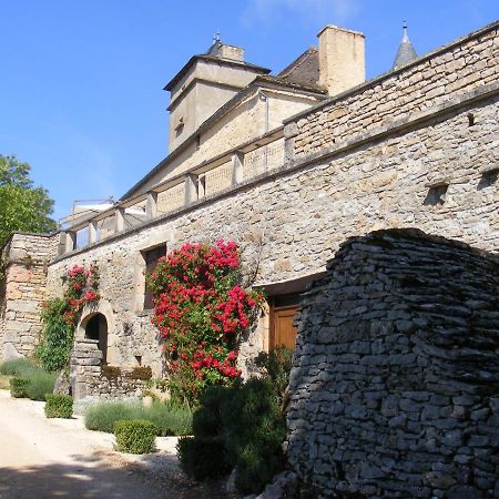 Chateau De Laumiere Promilhanes Exterior photo