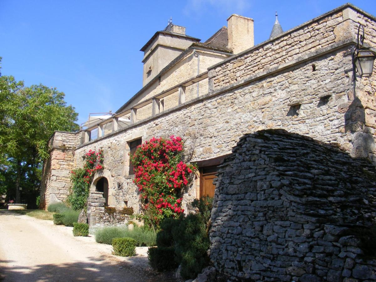 Chateau De Laumiere Promilhanes Exterior photo